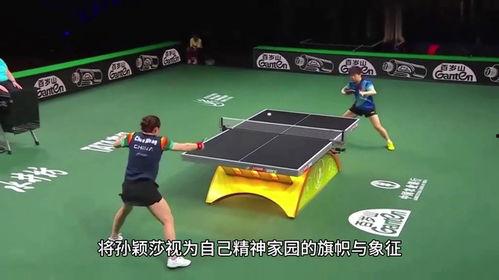 体育圈粉丝,激情燃烧的岁月,热血沸腾的追随